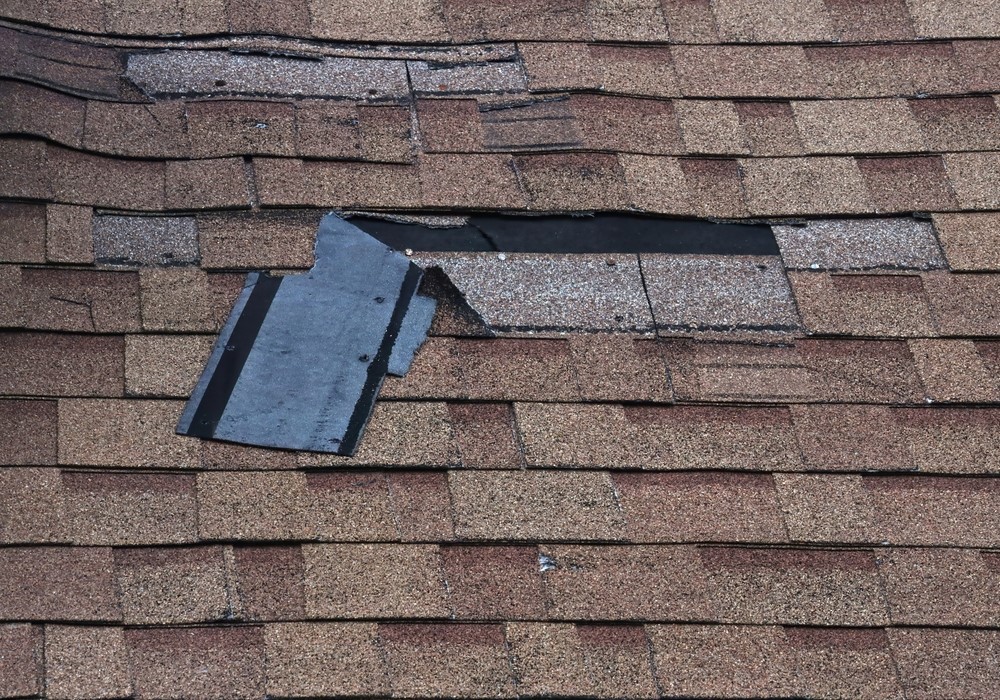 NJ Roof Damage 