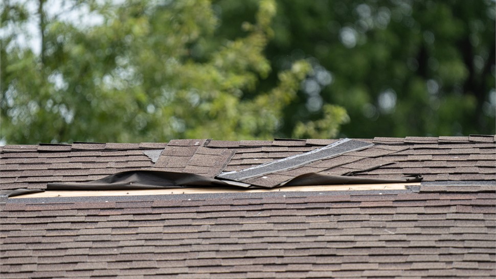 Service Areas - Storm Damage Photo 88