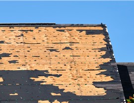 Storm Damage Photo 6