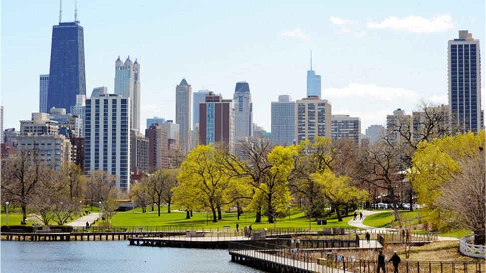 Lincoln Park Movers Photo 1