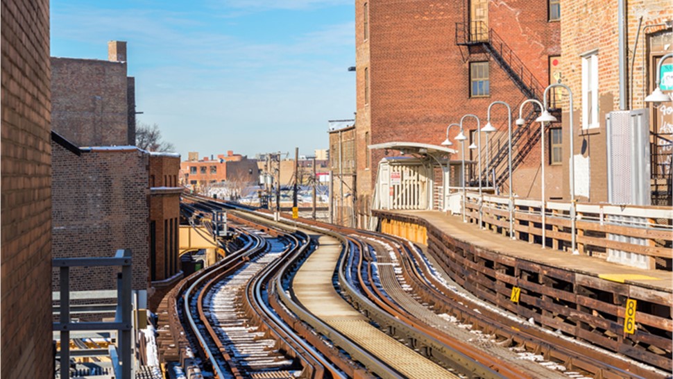 Bucktown Movers Photo 1