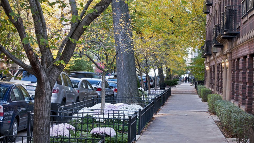 Wicker Movers Photo 1