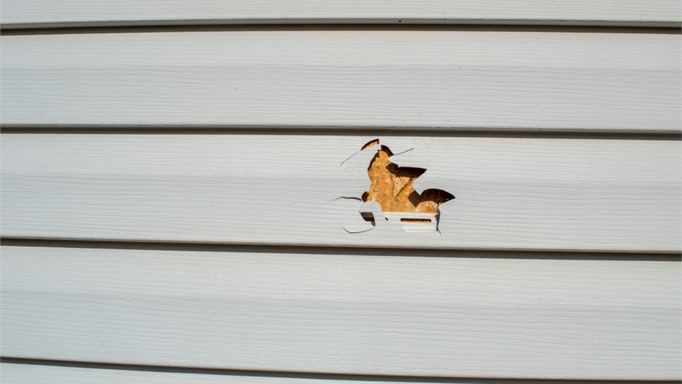 Siding Repair Photo 19