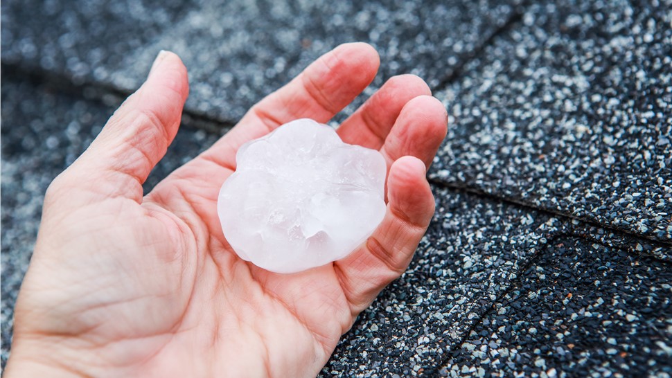 Hail Damage Photo 13