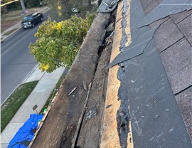 Roof Replacement Photo 65