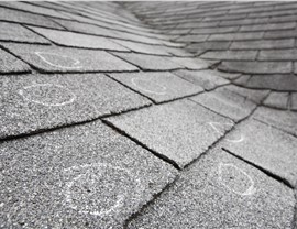 Hail Damage Photo 32