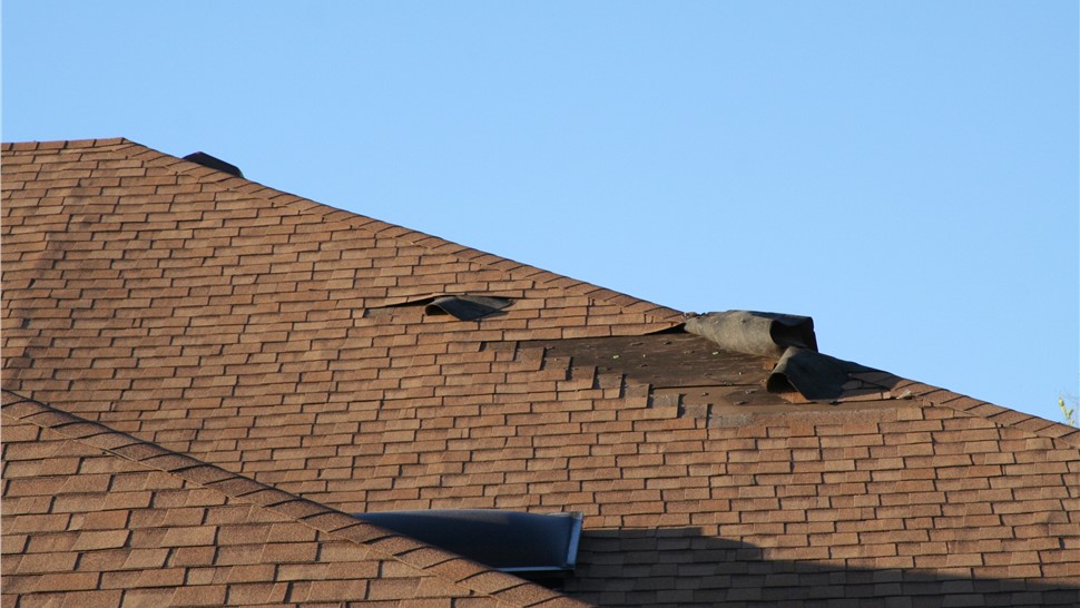 Wind Damage Photo 1