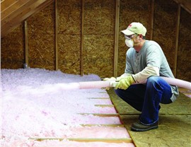 Attic Insulation Photo 4