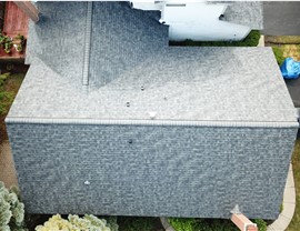 roofing-shingles Photo 3