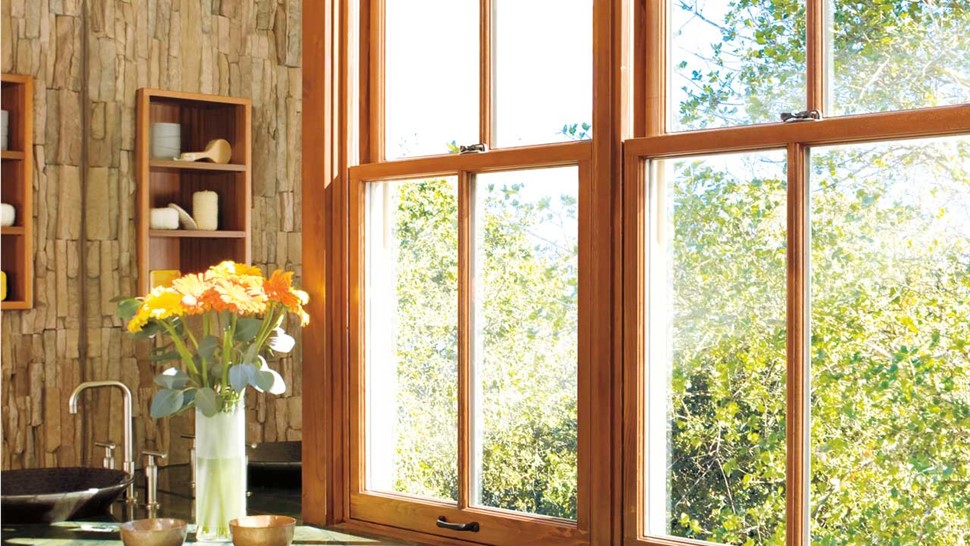 Replacement Windows Photo 4