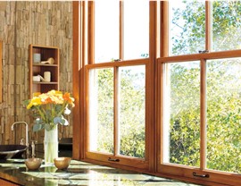 Replacement Windows Photo 4