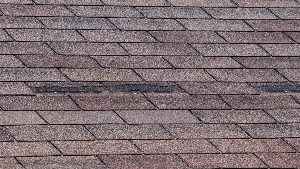 Storm Damage Photo 69