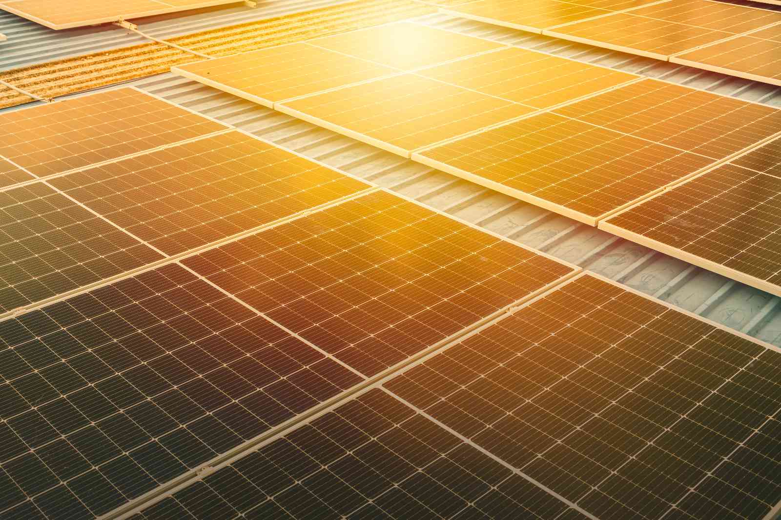 Commercial Solar Panels