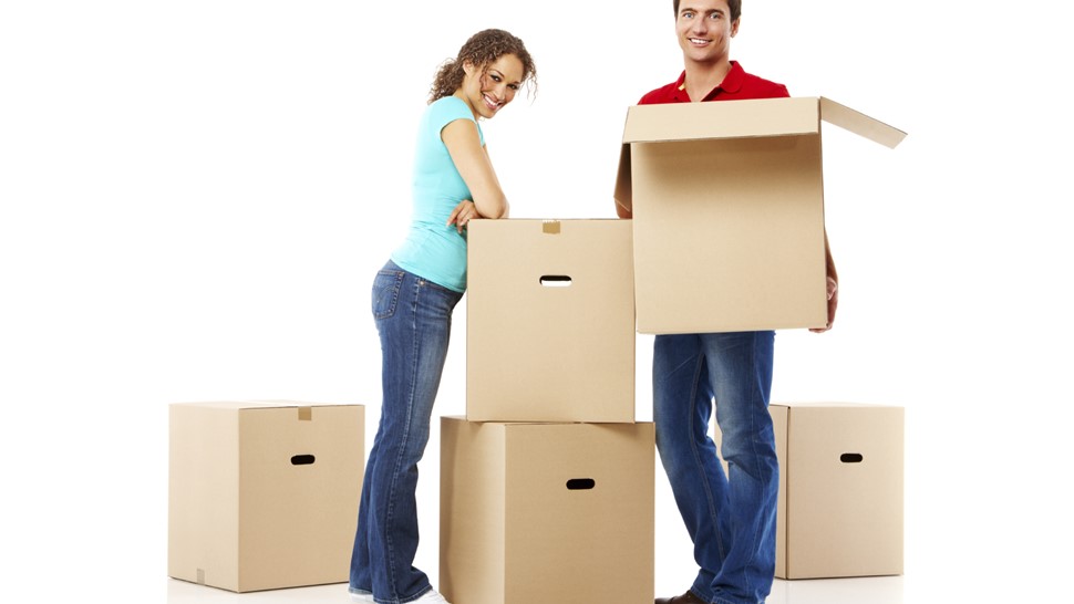 Cambridge Local Movers Photo 1