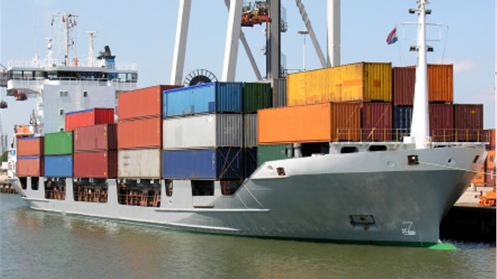 International Moving Photo 1