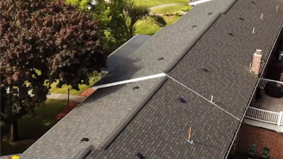 About Us Red Dog Roofing