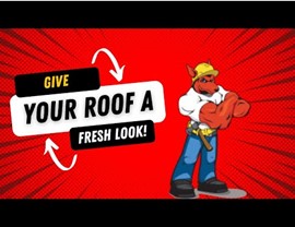 Red Dog's Roofing Tile Roof Cleaning Photo 1