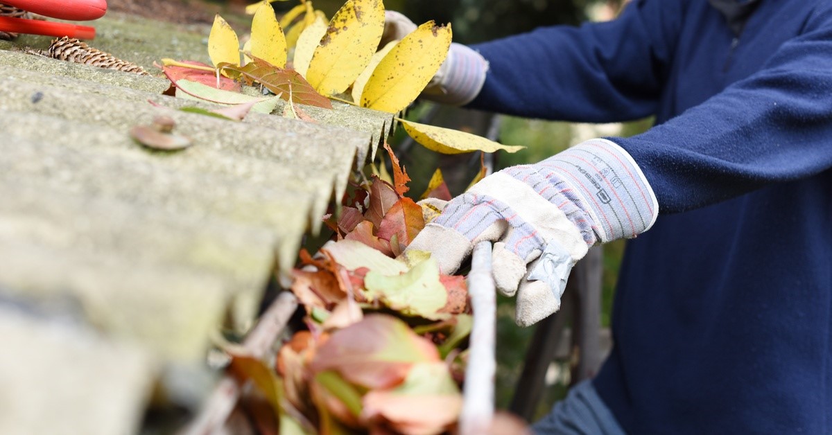 The Importance of Regular Gutter Cleaning and Maintenance