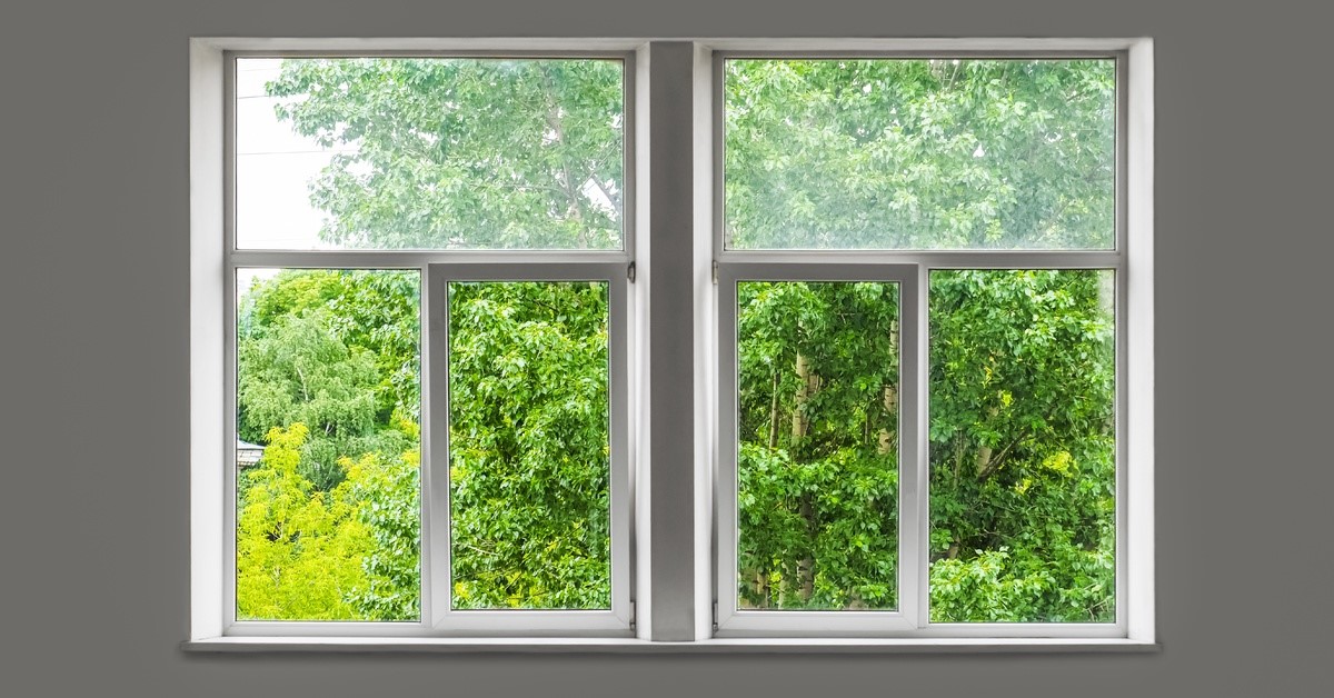There is foliage outside of a window. The window is surrounded by grayish drywall and no other furnishings.