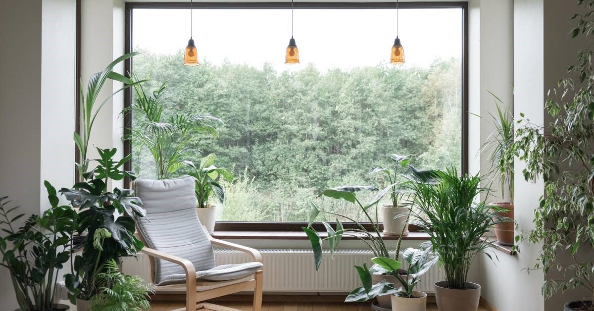 A modern home interior with multiple indoor plants and a large picture window revealing a lush forest outside.