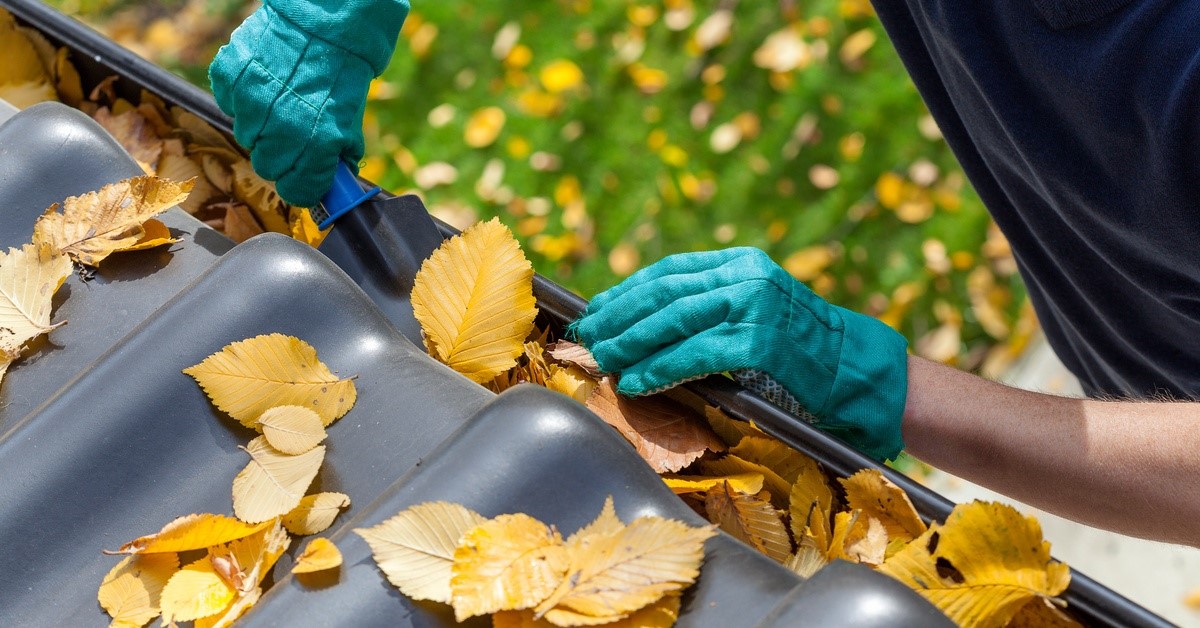 A man is standing on a ladder while using a trowel to dig out leaves from a clogged residential gutter.