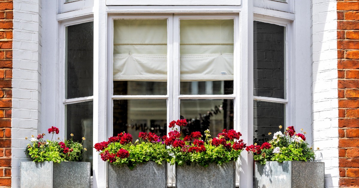 An exterior window with the blinds slightly drawn. There are plants hanging from the windows.