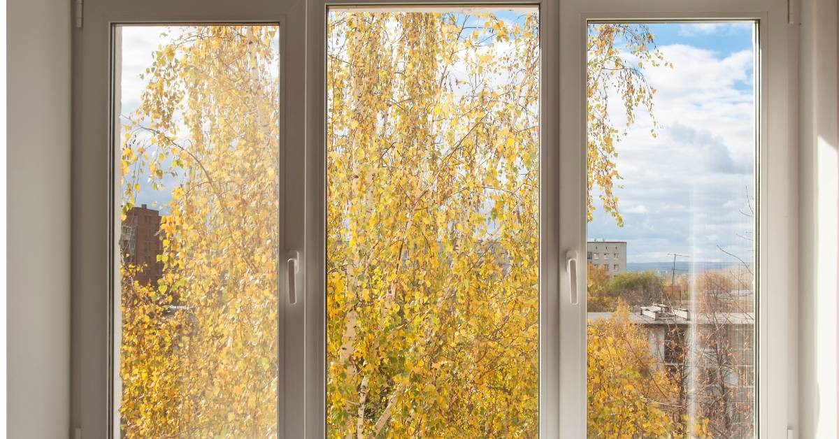 A close-up of a set of casement windows. Trees and the surrounding neighborhood are visible through the windows.