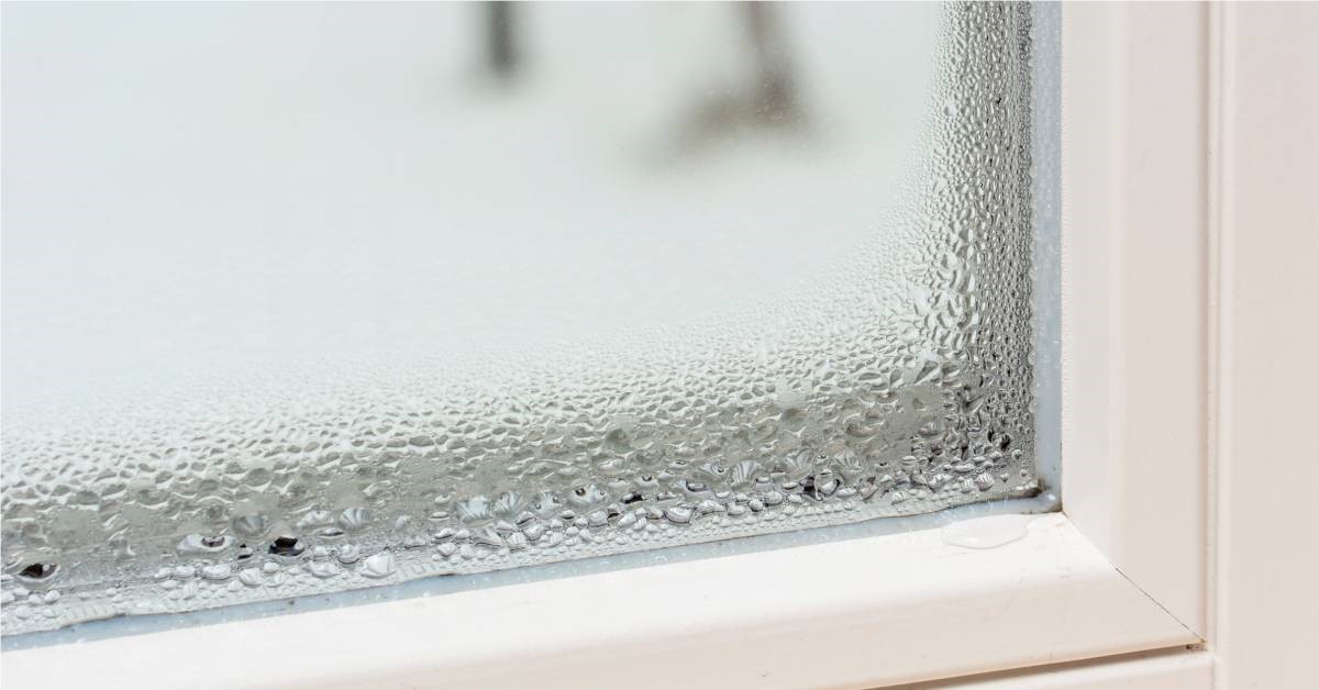 Window Condensation: Causes and Solutions for Your Home