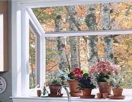 Garden Windows Photo 4