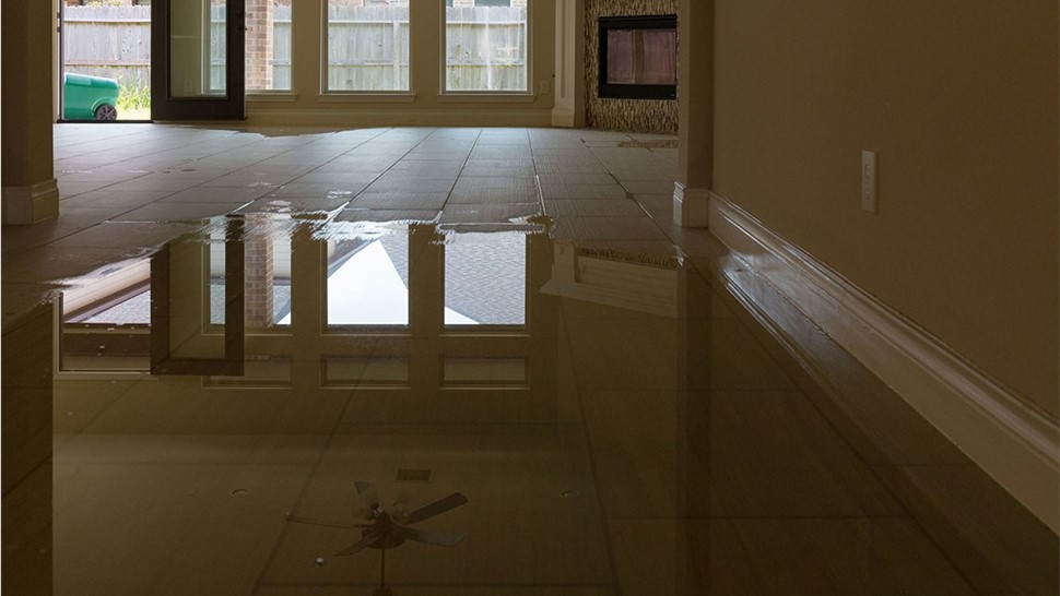Water Mitigation Photo 1