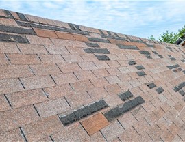 Missing Shingles Photo 58