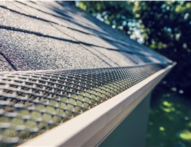 Gutter Guards Photo 3
