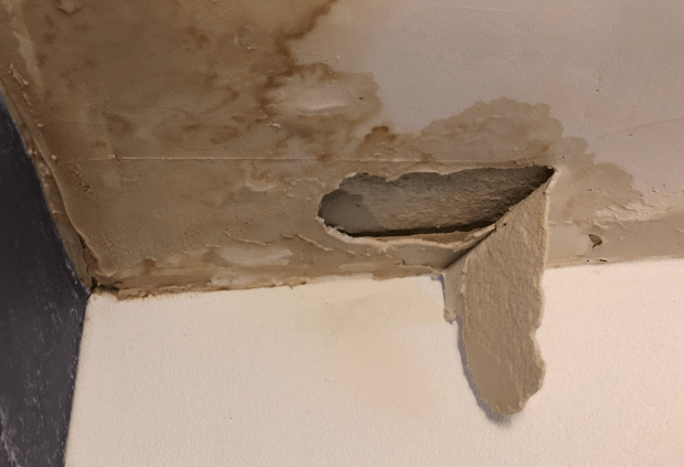 Identifying and Fixing Common Roof Leaks