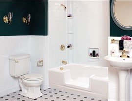 Bathtub Step Thru Inserts Photo 3