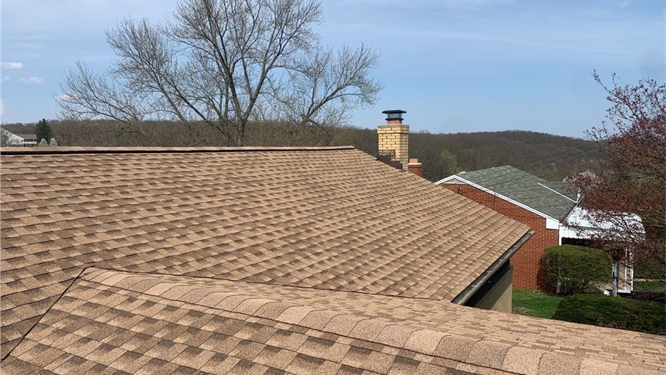 Shingles Photo 4
