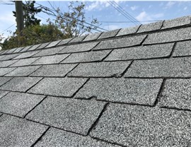 Hail Damage – Sarasota & SW Florida Photo 3