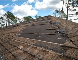 Service Areas – Storm Damage in Sarasota & SW Florida Photo 2
