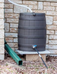 Rainwater Barrel 