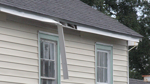 5 Preventable Things Ruining the Appearance of Your Roof