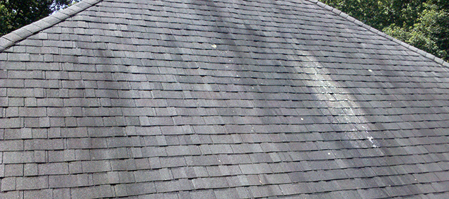 5 Preventable Things Ruining the Appearance of Your Roof