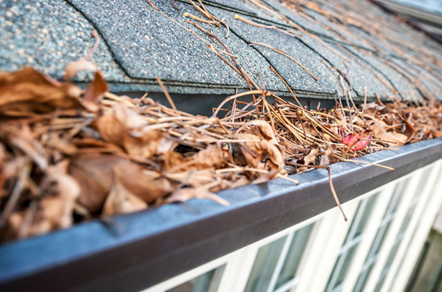 How Do Rain Gutters Affect Roof Health?