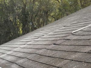 Warning Signs That You Need Roof Repairs ASAP