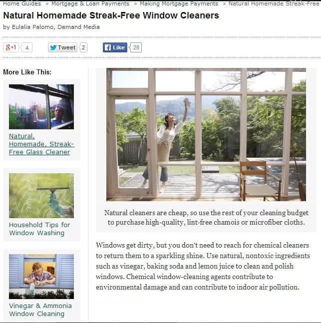 Preventing Costly Window Repair in Northern Virginia: Natural Cleaners