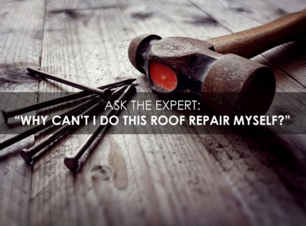 Ask the Expert: “Why Can’t I Do This Roof Repair Myself?”