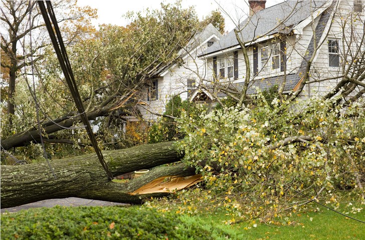What’s the & MORE For: Assessing Damage After a Storm