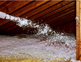 Attic Insulation Photo 49