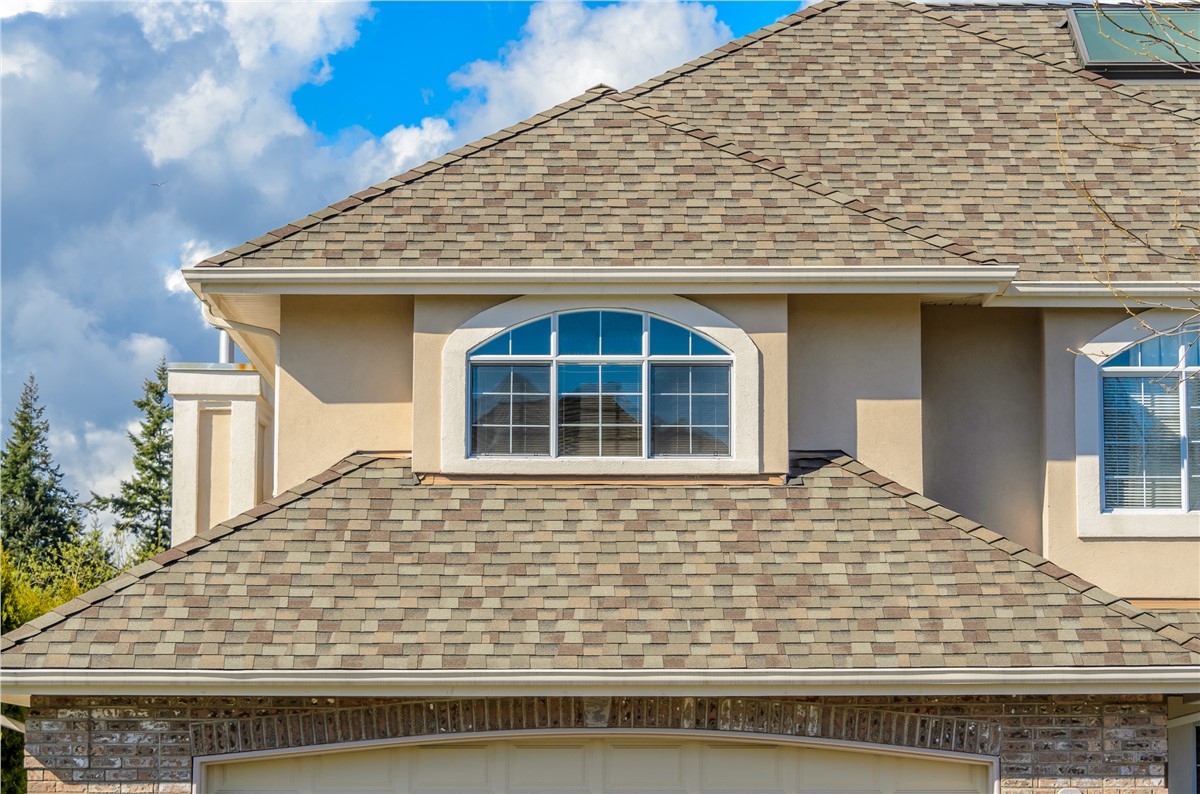 Your Local Experts: Premier Roofing Contractor Near You