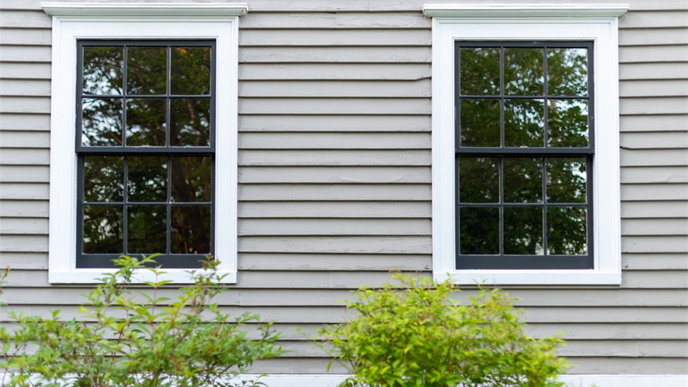 Windows Photo 42