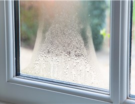 Windows - Window Replacement Photo 1