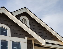 Siding - LP SmartSide Photo 60